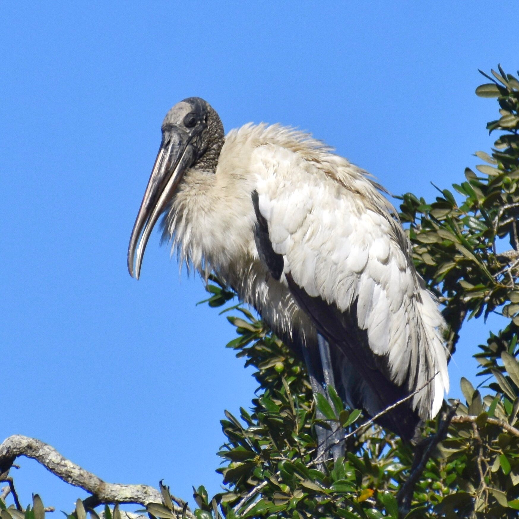 20221228 232338972 ios