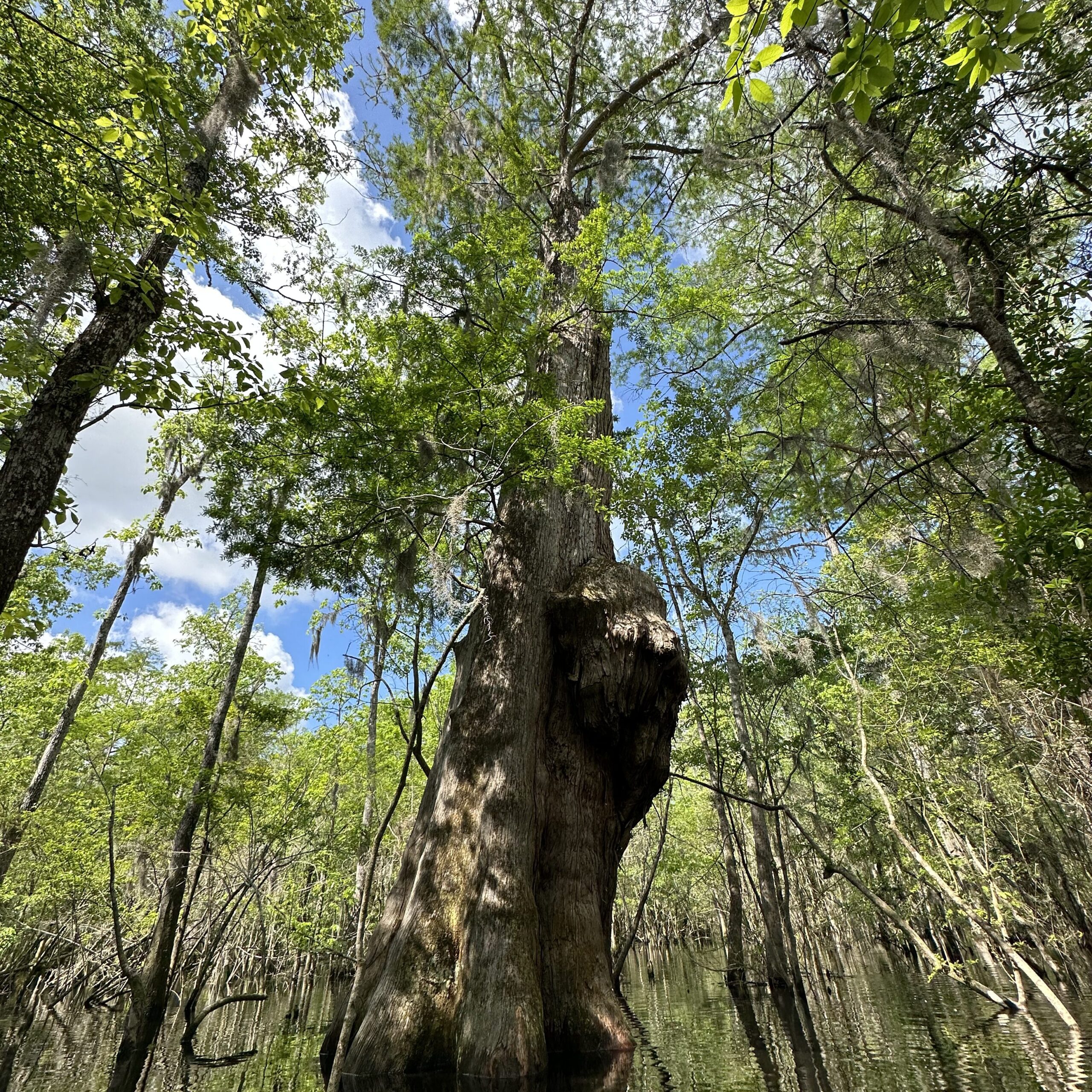 20230407 153418562 ios