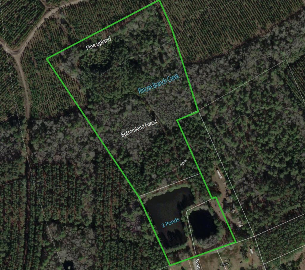 Our Preserve screenshot 2025 11 14 214102